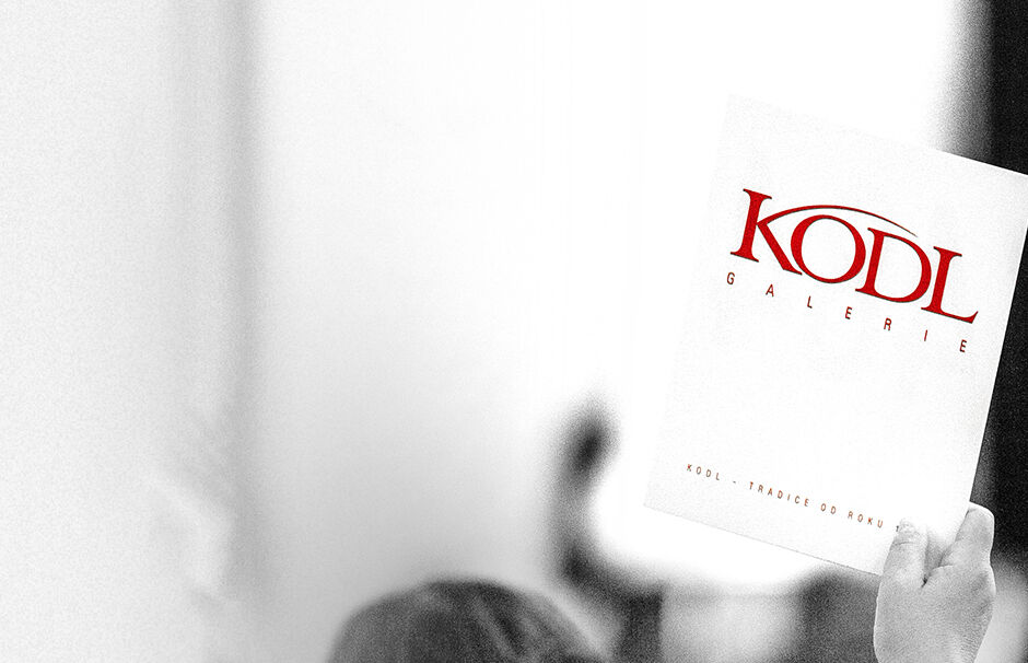 Aukce pro Paraple vynesla tři miliony korun!