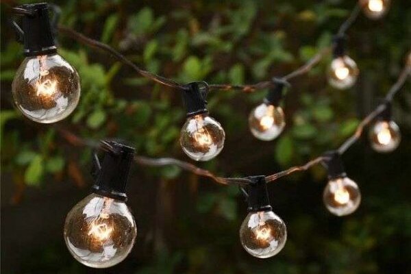 Léto u nás na zahradě