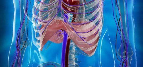 Seminář Terapie bránice. Zúčastněte se i vy!