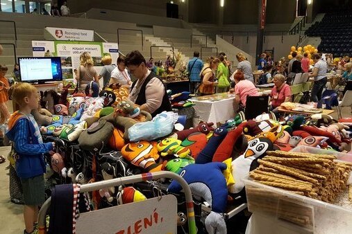 Lidé s postižením se můžou do konce března přihlásit na abilympiádu