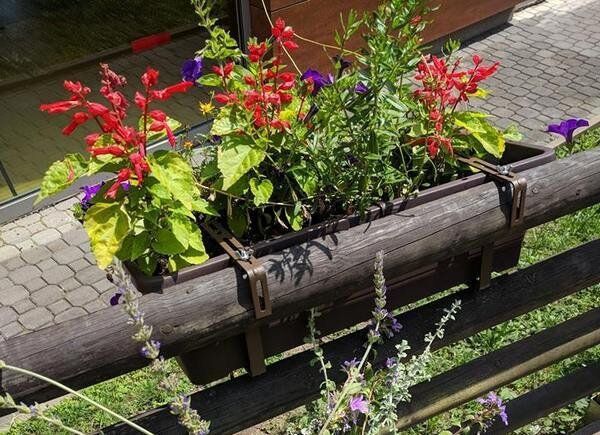 Eva - Dříve jsem měla sen, že jsem chodila, mezi lidma