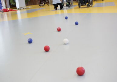 Přátelský turnaj v Boccie