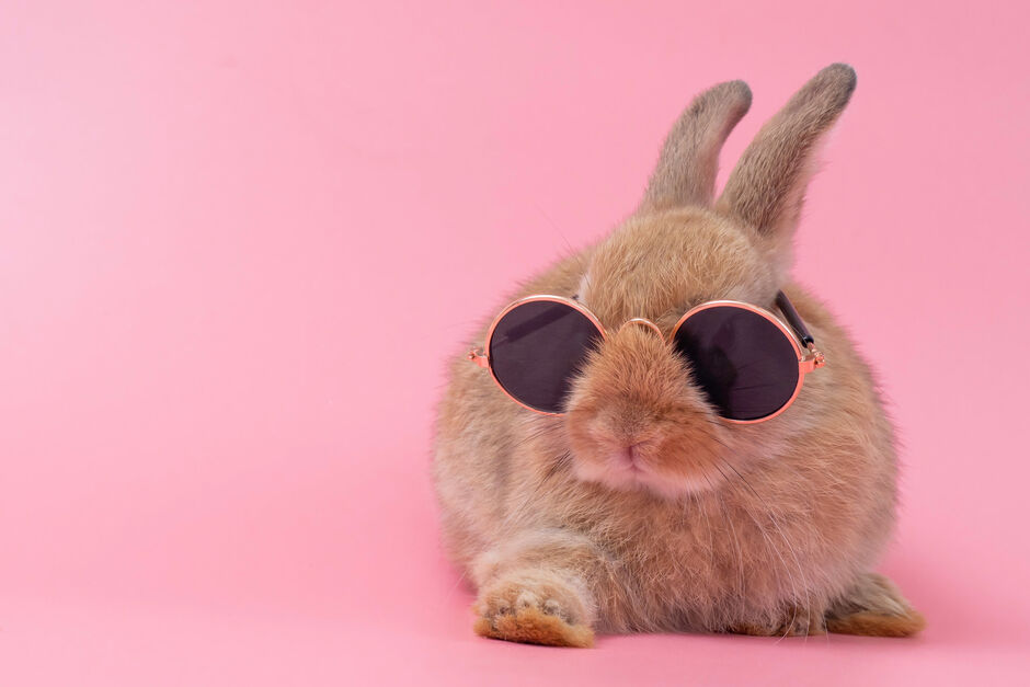 Buď cool a vař jako Jirka - Velikonoční nádivka