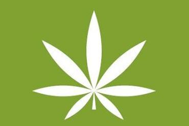 Seminář Cannaterapie