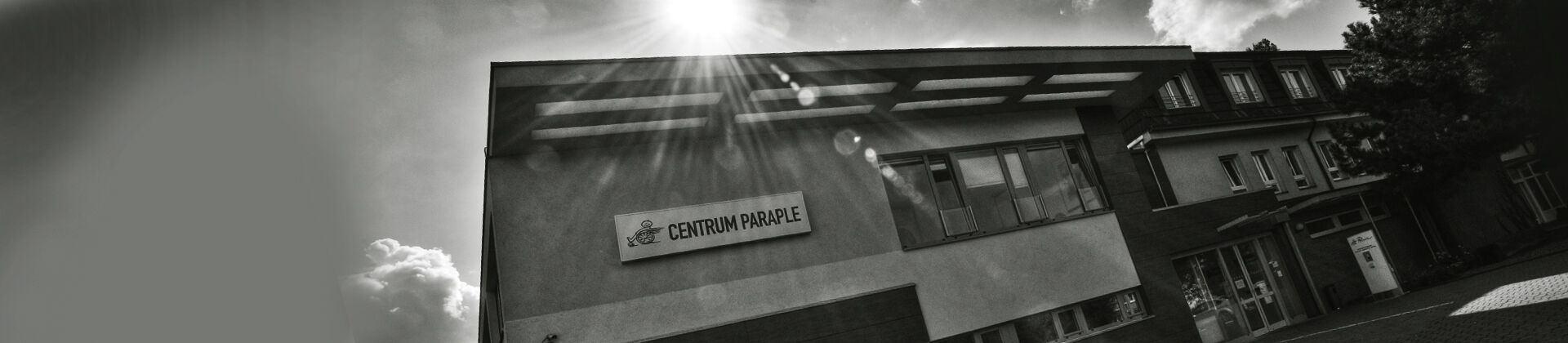 Orgány společnosti