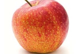 Redukce hmotnosti. Mýty, omyly a skutečnost