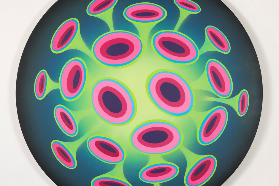 VIRUS 0420 (anticovid) Jana Kalába, virus, který pomáhá