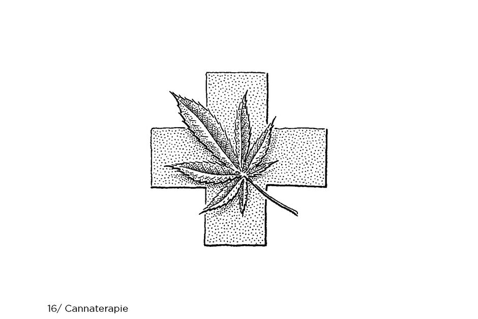 Konopí – výzkum léčby pomocí látky CBD