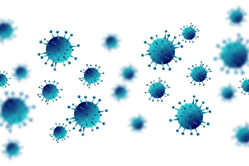 Doplňující informace a doporučení ohledně Koronaviru