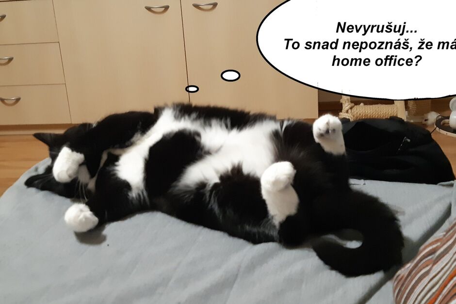 Jak jsem si užíval home office