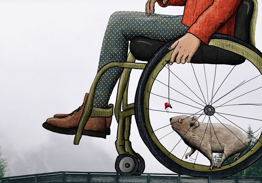 Prosincový magazín Paraple