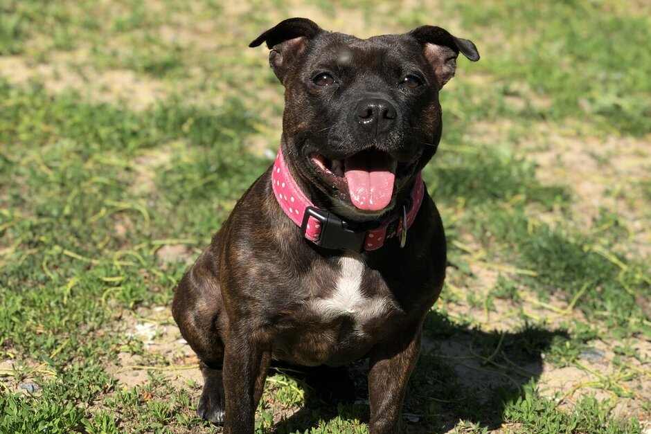 Clowie - Nevěřili byste, kolik lidí se díky mě naučilo házet míček, i když si mysleli, že to nepůjde