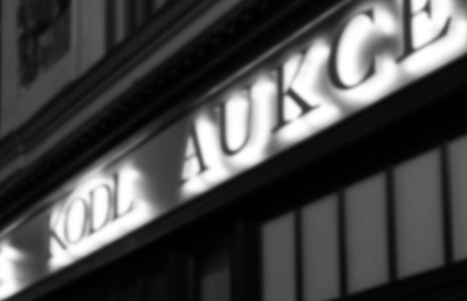 10. Aukce pro Paraple vynesla 745 000 korun!