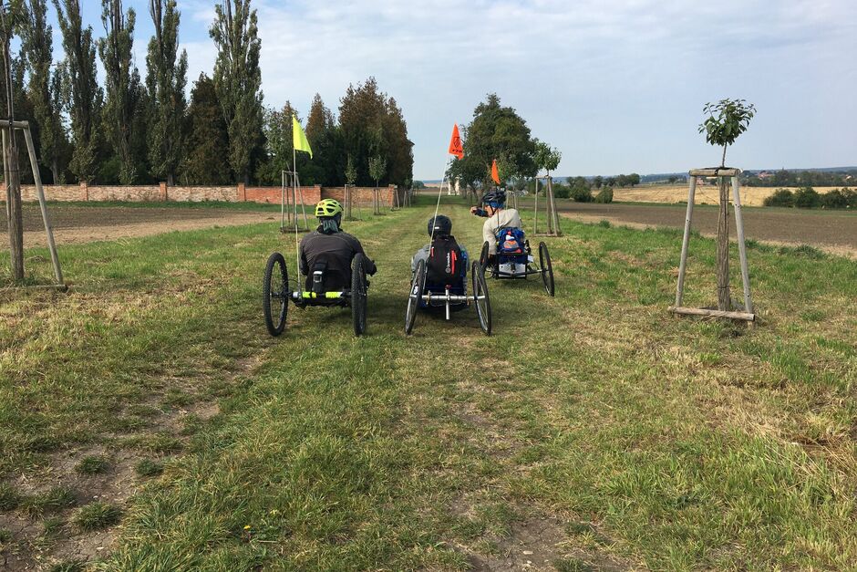 Cyklisťák v Nových zámcích