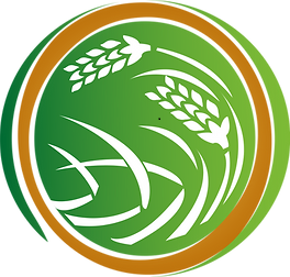 Štědrá úroda prvního pololetí