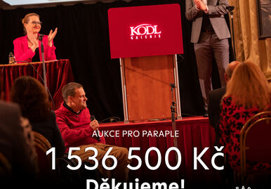 Aukce pro Paraple již pojedenácté