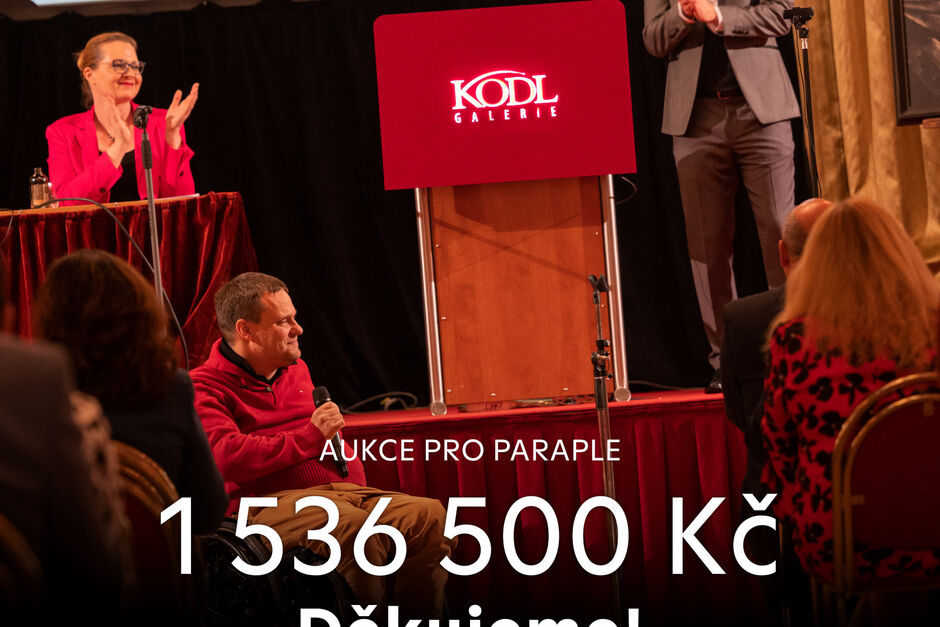 Aukce pro Paraple již pojedenácté