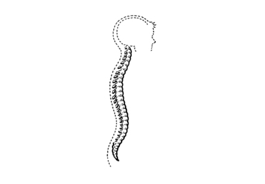 XIII. Odborná konference a setkání spinálních jednotek