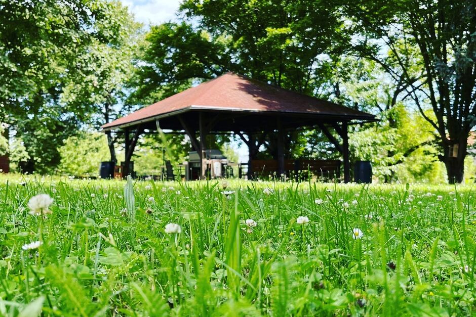 Střípky z prázdninového turnusu