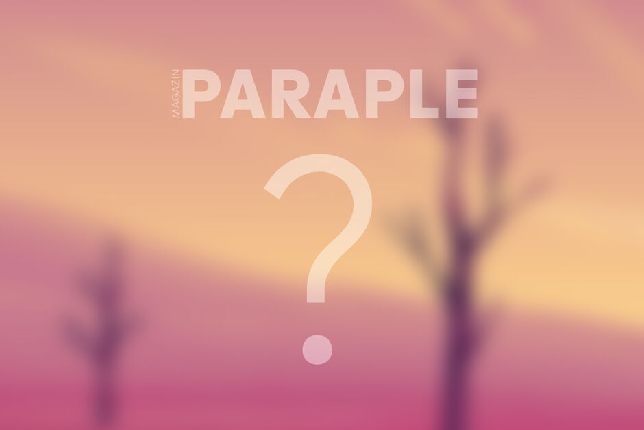 Nový Magazín Paraple