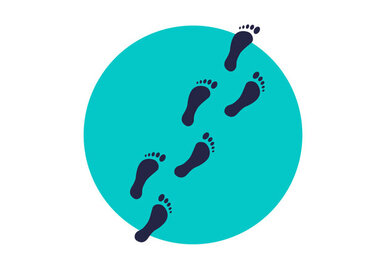 Vertikalizace, lokomoce