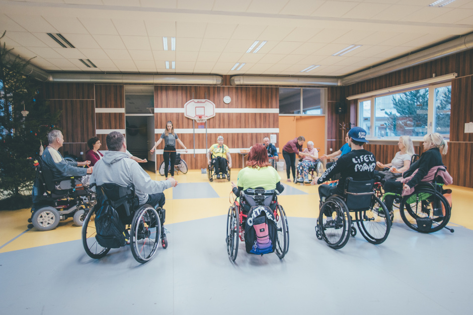 Střípky z prosincového turnusu