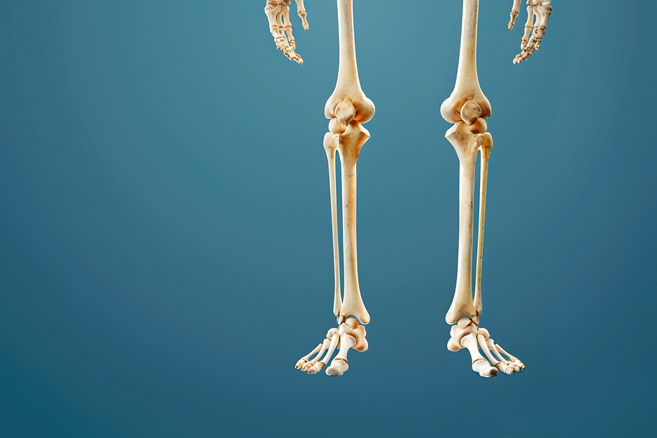 Osteoporóza je těžký protivník 