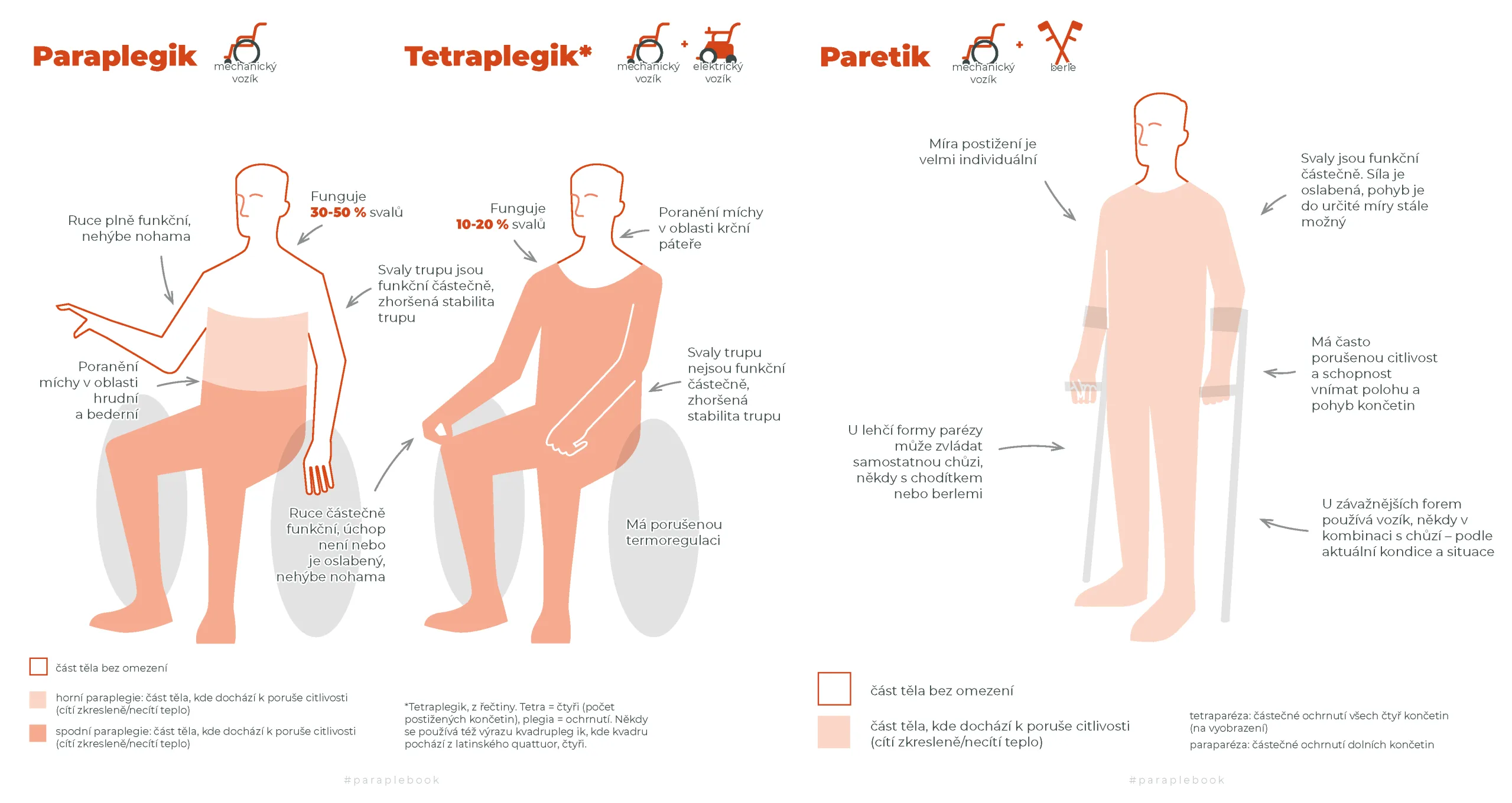 paraplegik_tetraplegik_paretik.jpg